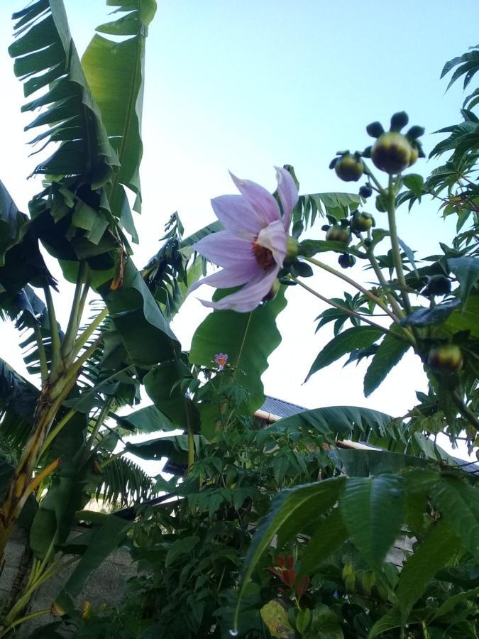 Cora Izone Hotel Coban Exterior photo